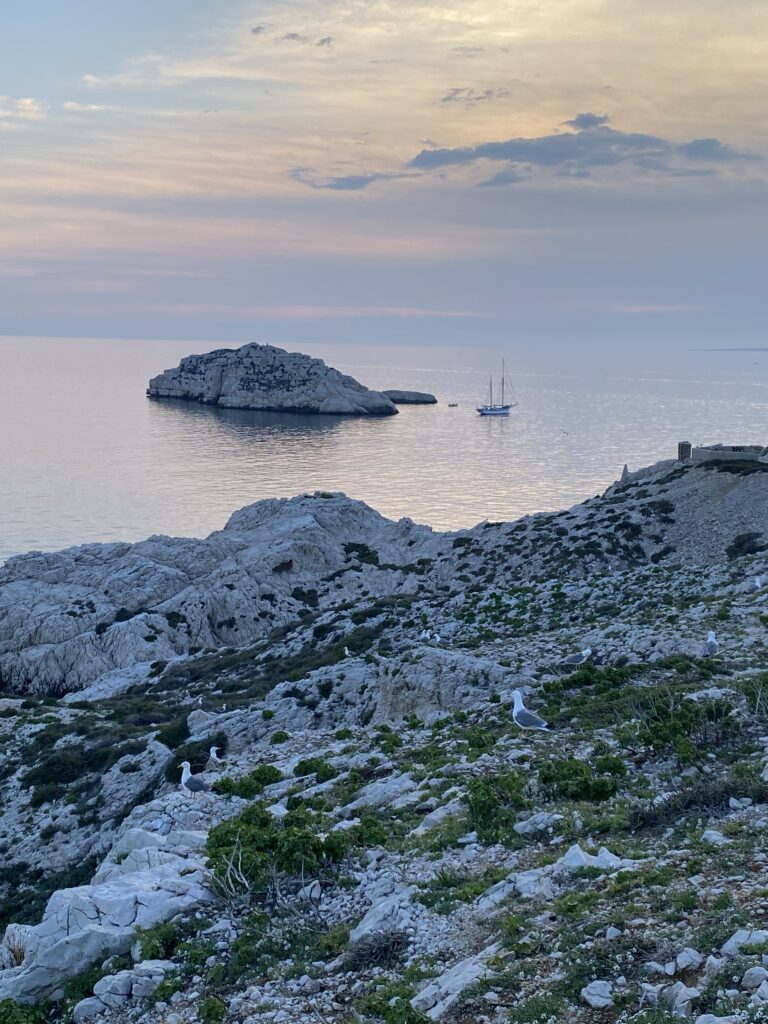 Les îles Bermond ne sont pas seulement un point géographique en Méditerranée ; elles incarnent une "île éphémère", une passerelle entre le monde tangible et l'univers numérique. C’est à la croisée de l’innovation et de la tradition que naît une nouvelle approche de l'entrepreneuriat. Marseille, avec sa mosaïque culturelle et son élan contemporain, sert d’écrin à ce laboratoire social et technologique singulier.

Véritable fenêtre ouverte sur des réalités parallèles, l’île Bermond se dévoile comme une oasis virtuelle, offrant aux visiteurs une immersion dans des univers multiples. Au-delà du monde physique, elle propose des espaces d’expérimentation, de prototypage et de création pour les entrepreneurs, artistes et innovateurs.

Tel un tableau vivant, le virtuel introduit une alternance entre réalité et fiction. On y évolue dans un environnement multidimensionnel, en acceptant les "parasites" propres aux nouvelles perceptions, à l’image des défis rencontrés en géométrie spatiale. Le cerveau, déstabilisé, parvient néanmoins à naviguer dans cet univers impossible à cerner pleinement. Ce jeu d’illusions questionne sans cesse : est-on dans une utopie ou dans une future réalité ? Quoi qu'il en soit, l’essentiel est de pouvoir tester, explorer et confronter des idées inédites. Un champ d’imagination où le virtuel devient le laboratoire du réel.

Depuis le socle calcaire de l’île, des faisceaux se diffusent, déployant une multitude de mondes possibles. Ici, tout peut être repensé : organisation, économie, monnaies, gouvernance. L’univers virtuel ouvre un terrain d'expérimentation sans limites. Le mot d’ordre : "Oser, s’autoriser, entreprendre."